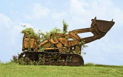 Fortaleciendo Comunidades a través de la Reforestación: Uniendo Fuerzas para un Futuro Sostenible