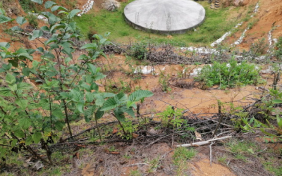 Proyecto de rehabilitación del “Manantial Bautista Chico”