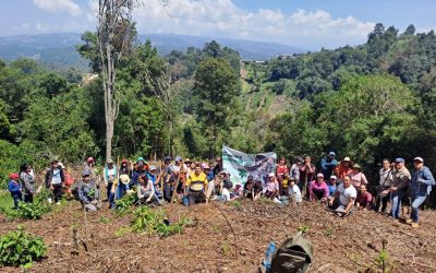 La Importancia de la Revegetación de los Bosques: Restaurando la Naturaleza para un Futuro Sostenible