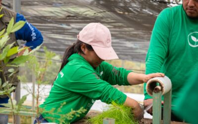 Cada detalle importa: raíces protegidas, impacto reducido