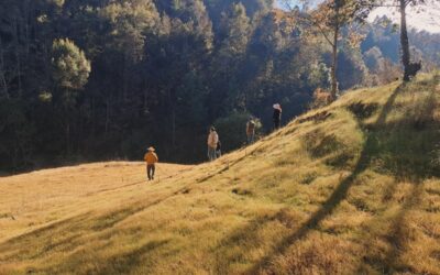 Comenzamos el recorrido hacia la Campaña #19