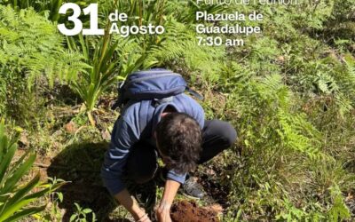 18va Campaña de reforestación