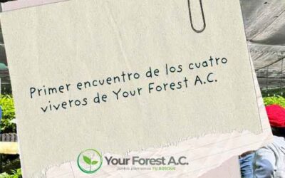 🌱 Primer Encuentro de Viveros de Your Forest, A.C. 🌱